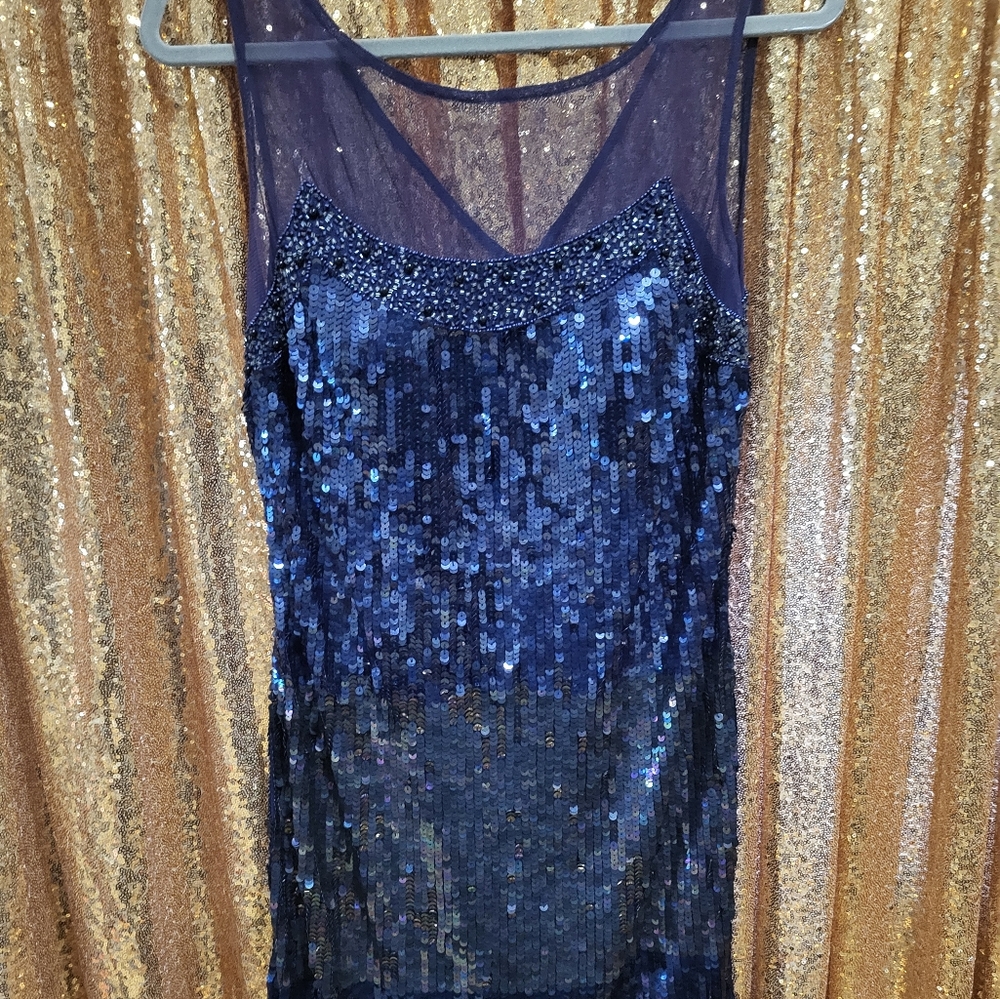 Sequin knee length dress.